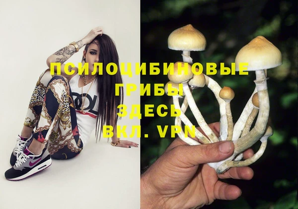 гидропоника Алзамай