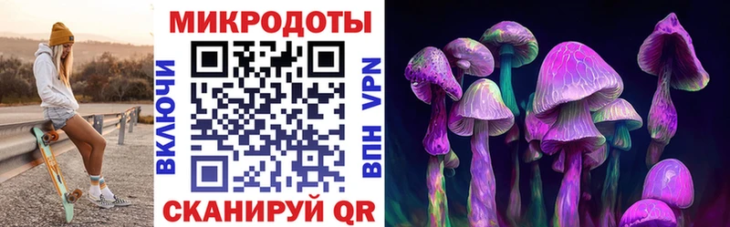 где купить Харовск Псилоцибиновые грибы ЛСД